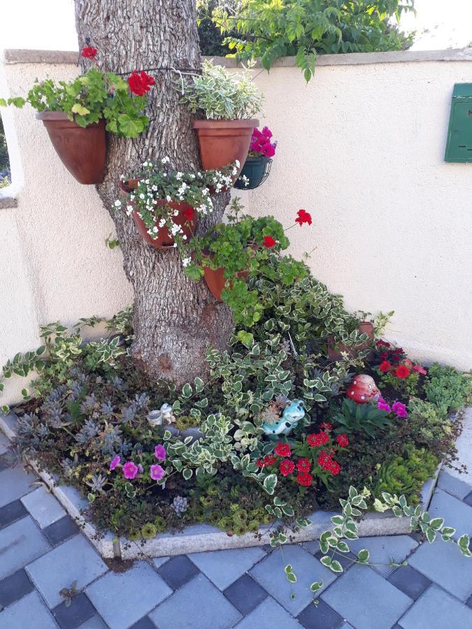 Apartmani Lucica Jezera Exterior photo